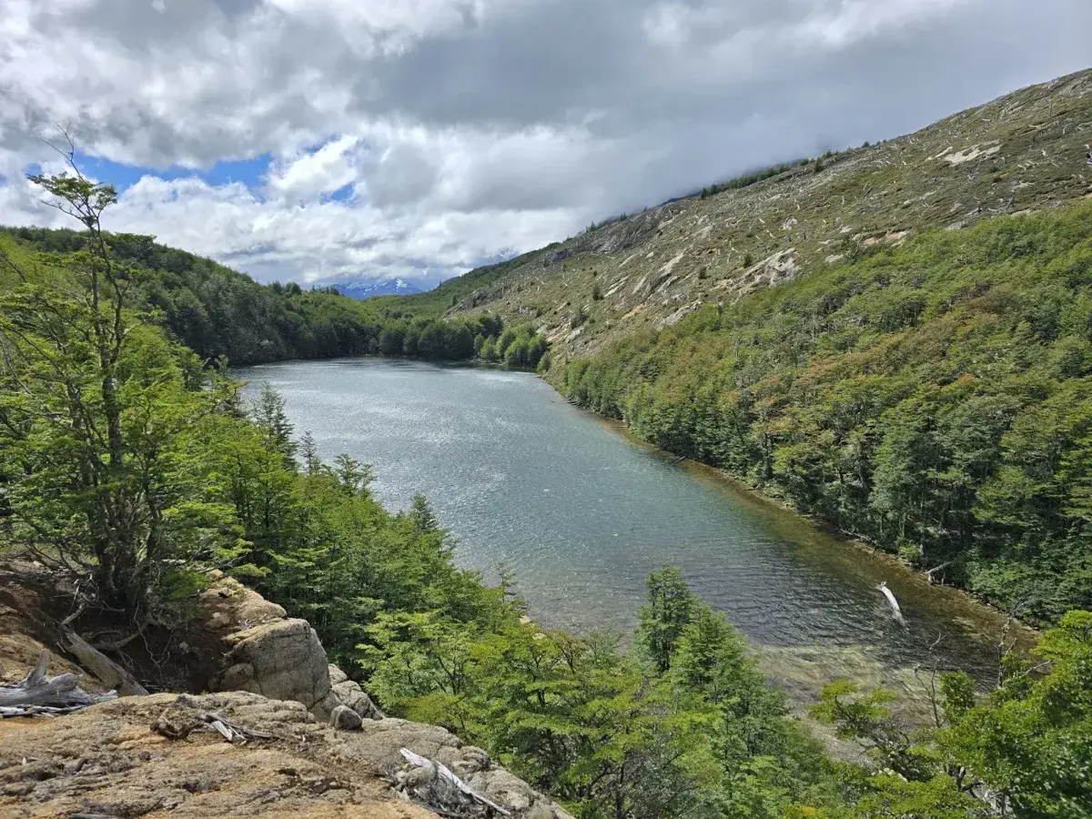 Fotografía del Parque Murta · Bosque