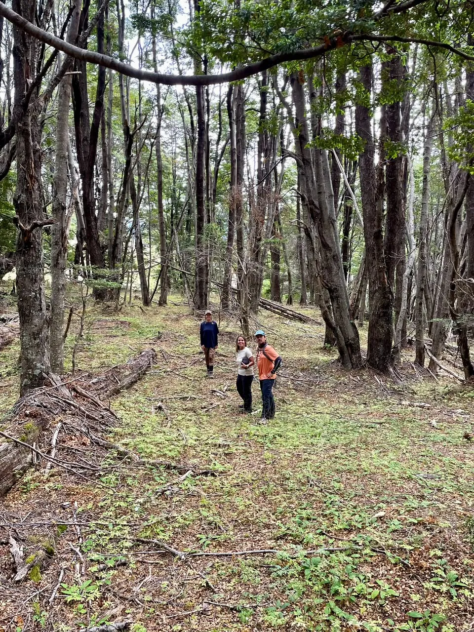 Fotografía del Parque Murta · Bosque