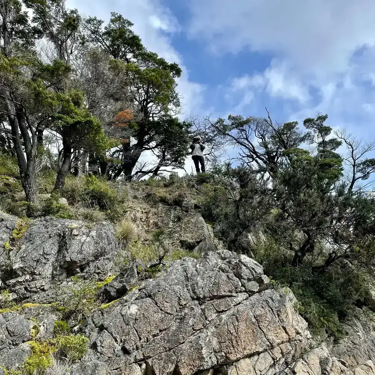 Fotografía del Parque Murta · Montaña